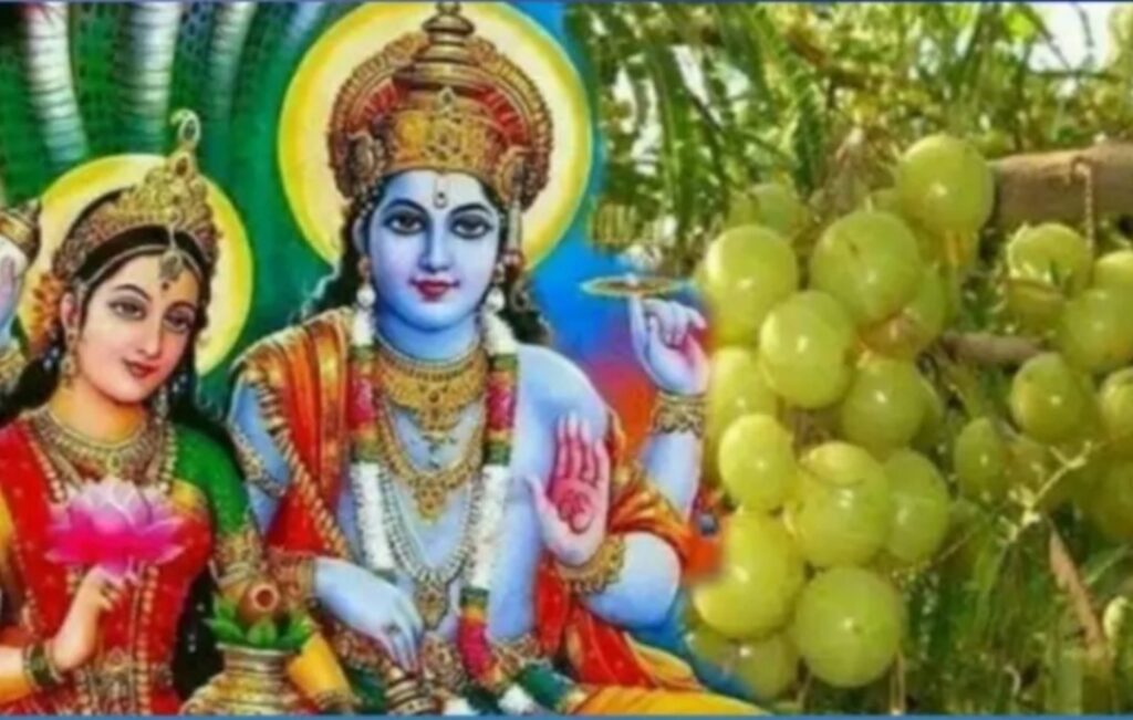 “सांस्कृतिक परम्परा में ” अक्षय-नवमी औ” प्रबोधिनी एकादशी”